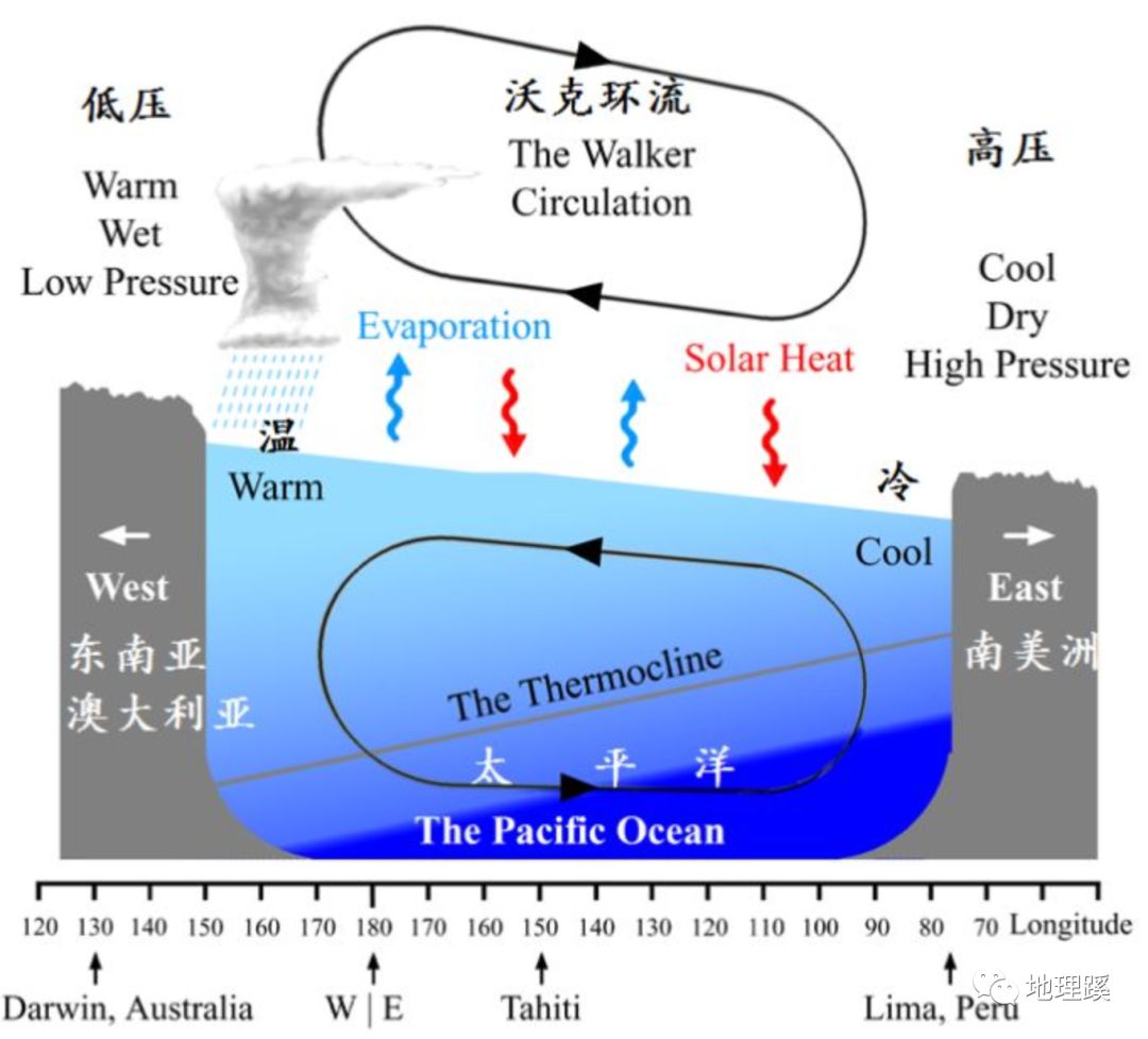 课外地理一文了解厄尔尼诺现象的影响及沃克环流