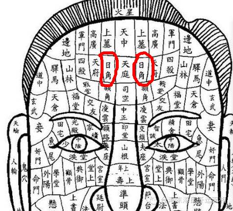最完整的面相学三庭十二宫~(全)