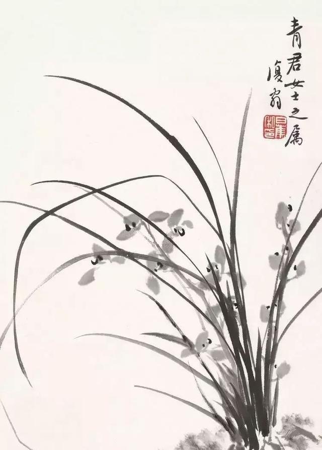画竹子有郑板桥画兰花当属白蕉看看他画兰花有啥窍门