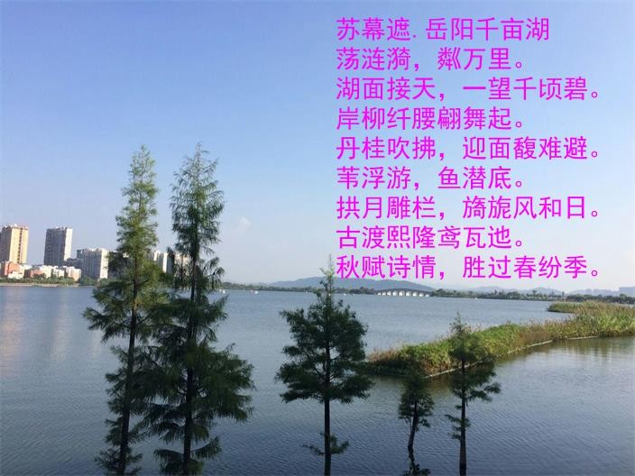 岳阳千亩湖简介图片