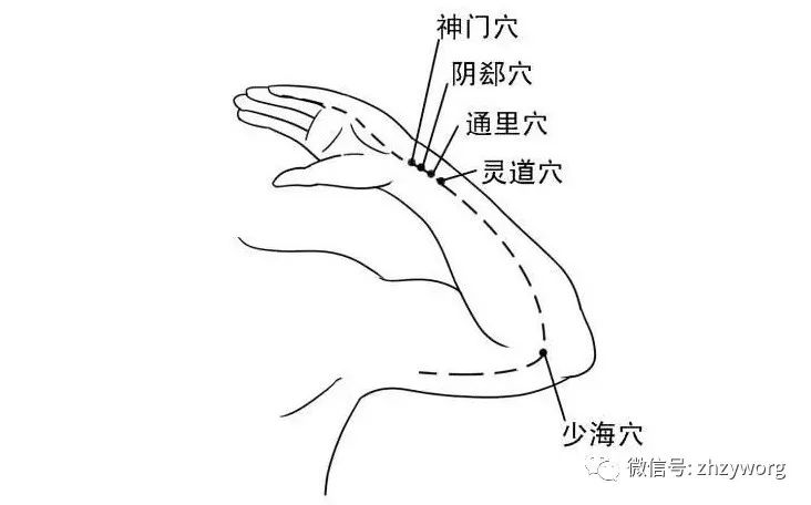 陵泉12为消化,生殖,泌尿系统,妇科疾患之常用要穴,三阴交配合谷,秩边