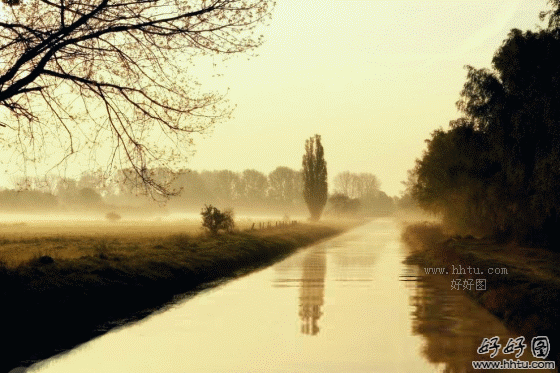 动态美景流水潺潺