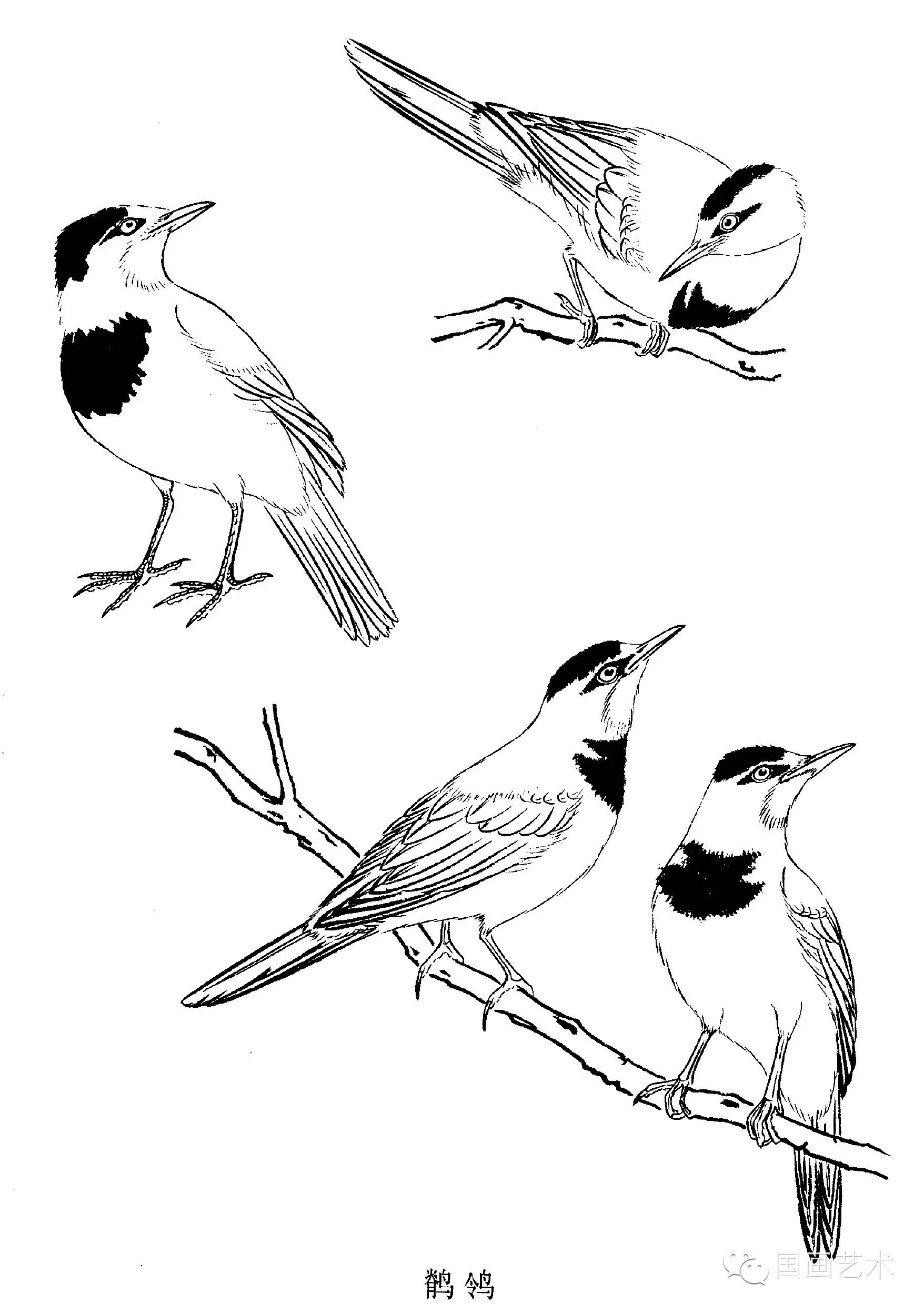 十八种工笔线描技法图片