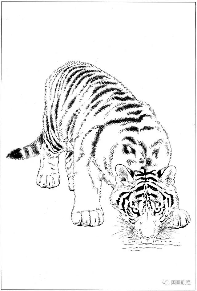100幅老虎马等各种动物的白描合集
