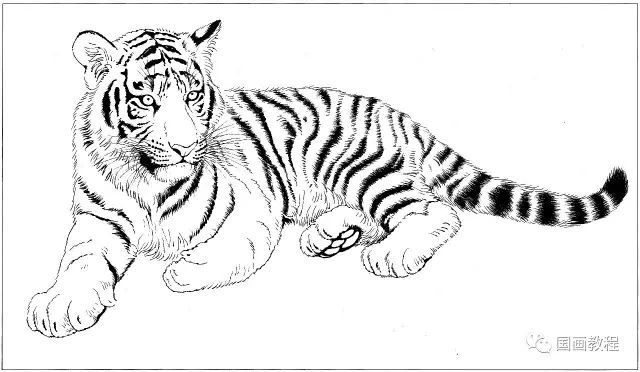 100幅老虎,马等各种动物的白描合集