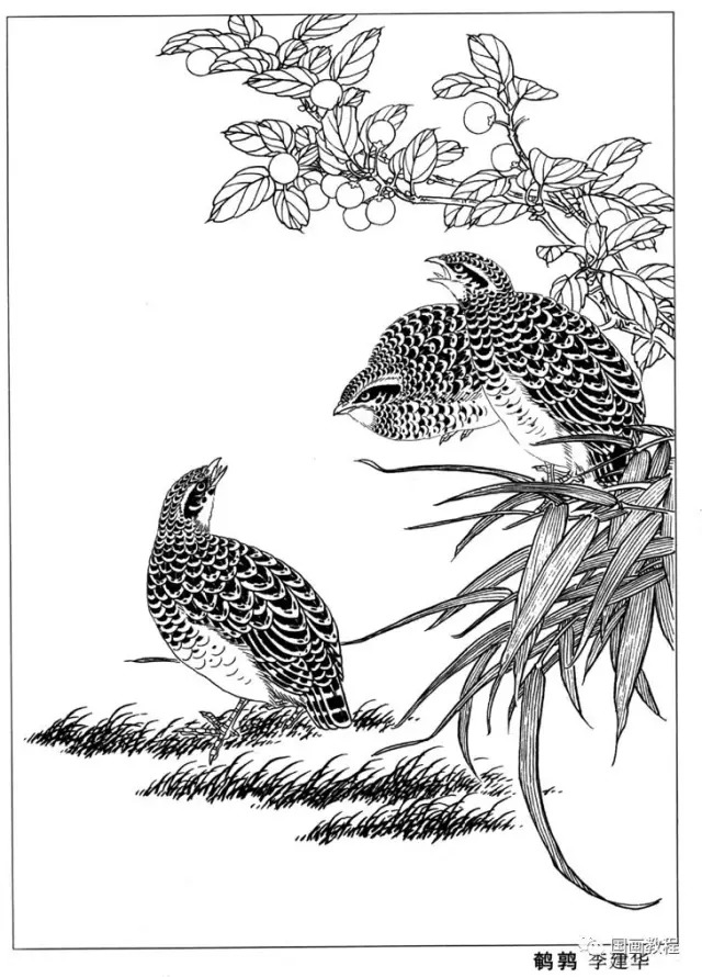 100幅老虎,马等各种动物的白描合集