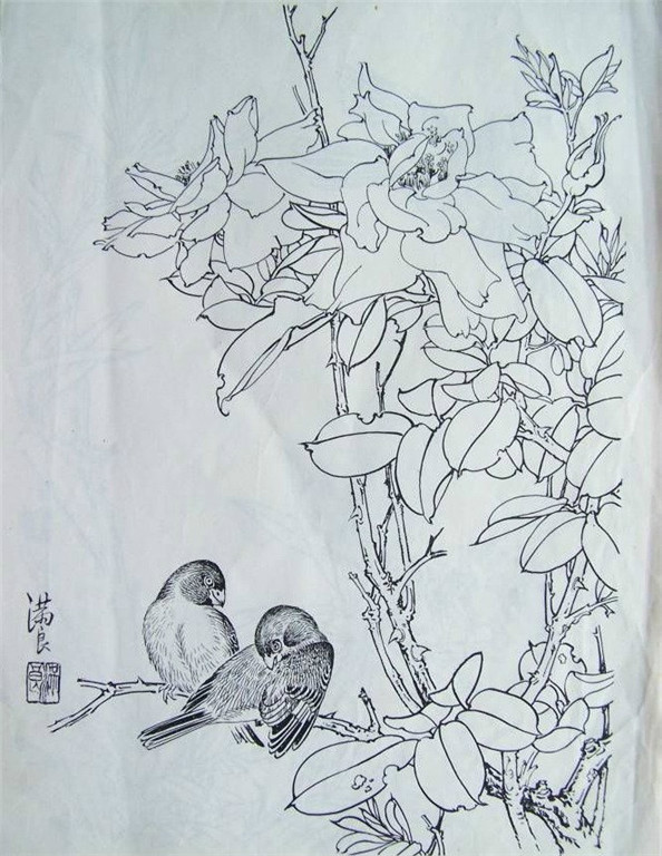 國畫家王滿良工筆白描花鳥稿10p