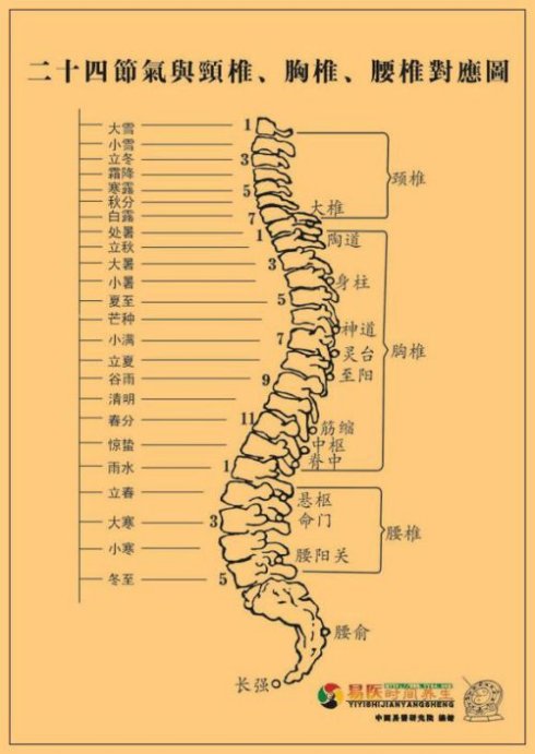 能量平衡灸背部穴位图汇总