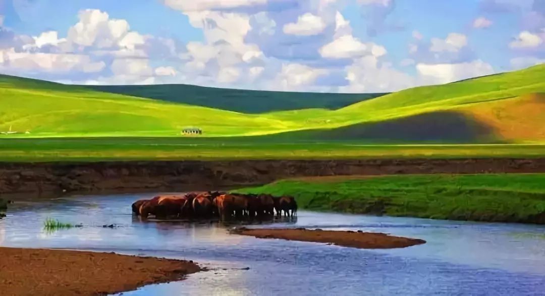 中国十大草原排行,你去过几个