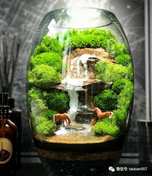 世界顶级苔藓微景观造景学了就是自己的