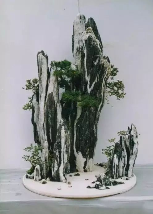 顶级盆景开眼了美得无与伦比