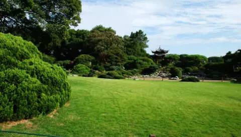 步移景異淺析花港觀魚公園園路的植物配置