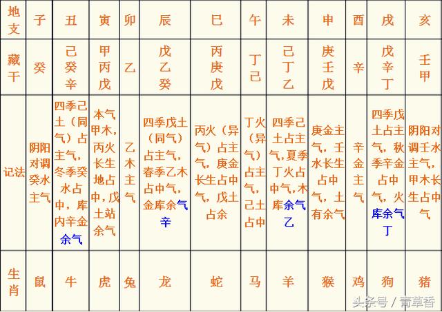 四柱八字地支藏干和十神的速记方法与如何确定身旺身弱