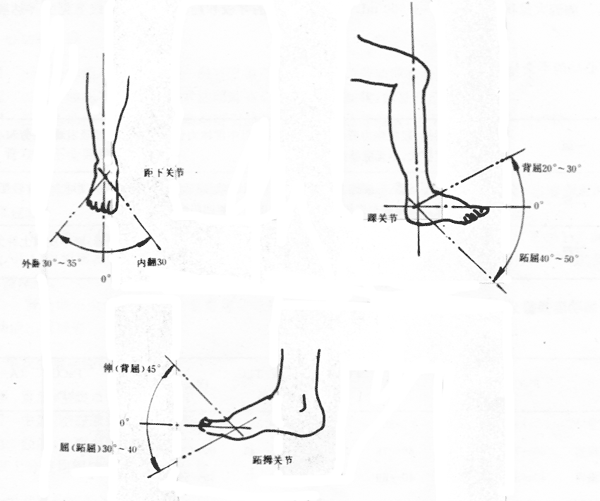 事故傷害損失工作日標準 - 好網角收藏夾