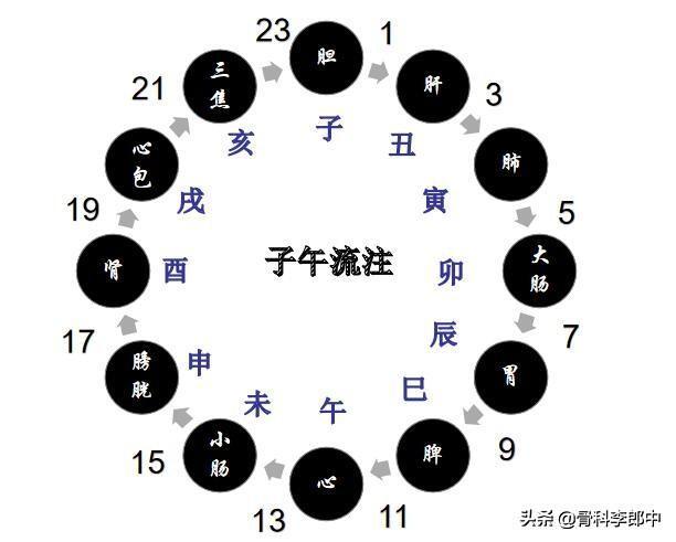 經絡學說中十二經脈的流注規律及表裡屬絡關係