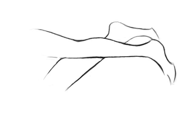 干货睡觉也能修行道家睡功五龙盘体势