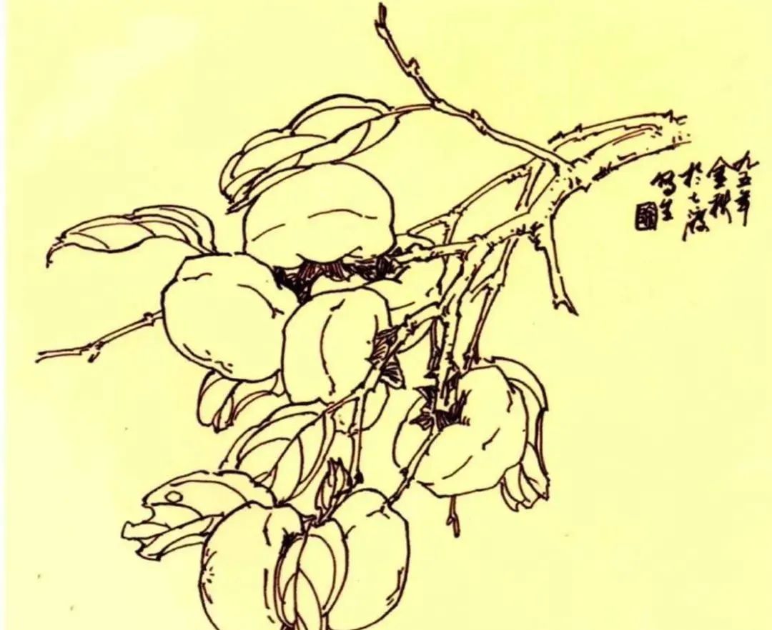 国画名家秘诀书坊 蔬果画谱:柿子画法