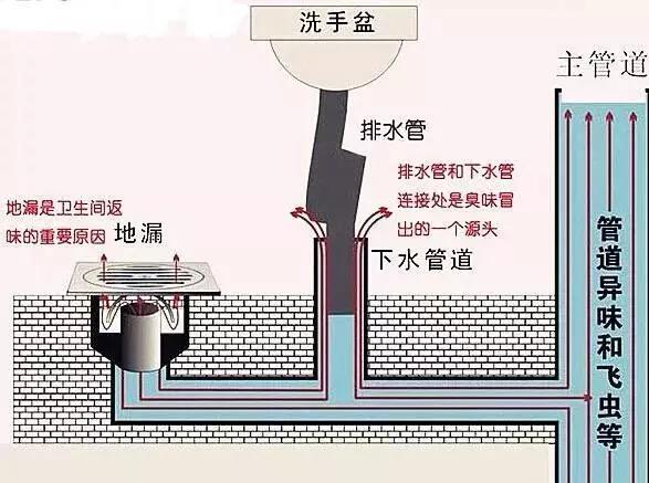 衛生間臭味太重怎麼辦收好這份解決方案還有五個小妙招