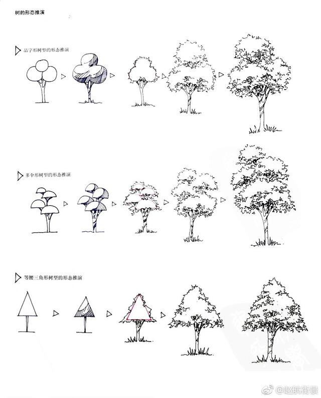 各种树的手绘画法,资料难得