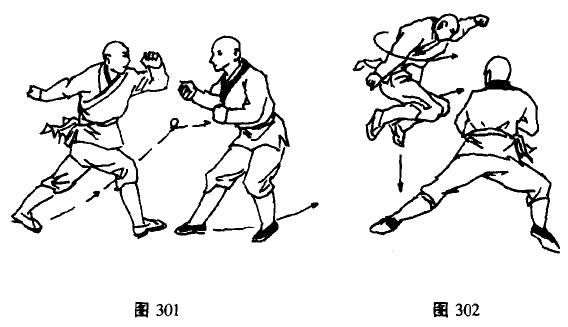 少林十二绝命腿九十式腾龙搅尾和金雕扑食