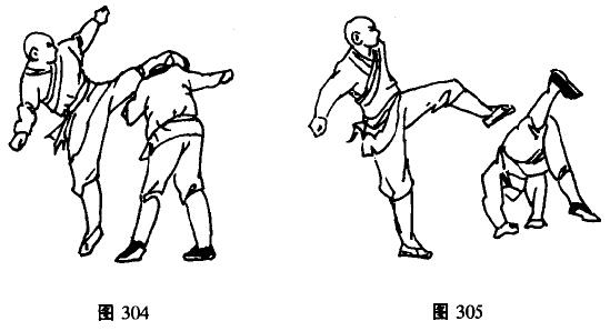 少林十二绝命腿九十式腾龙搅尾和金雕扑食