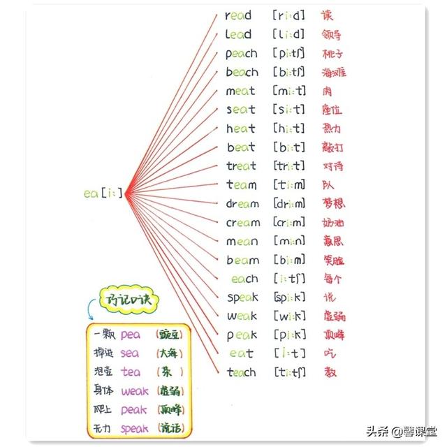 英语音标思维导图