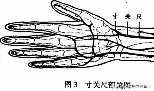 看真正中医师如何切脉!(附病脉表)