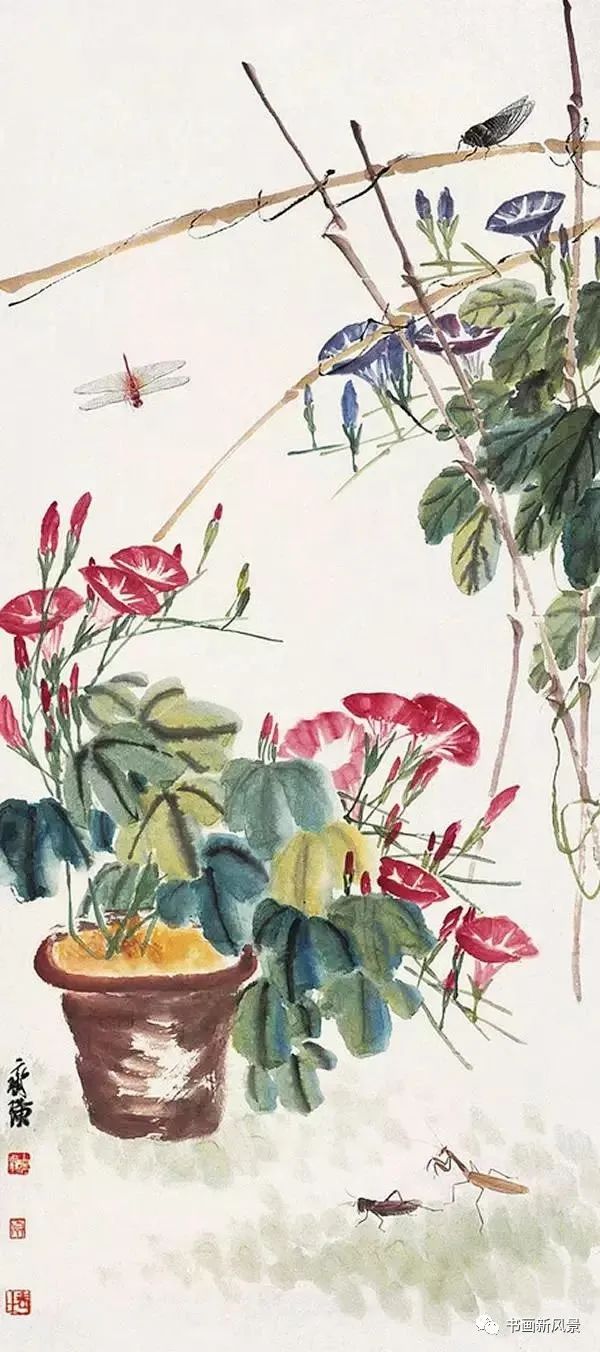 国画中的牵牛花美不胜收