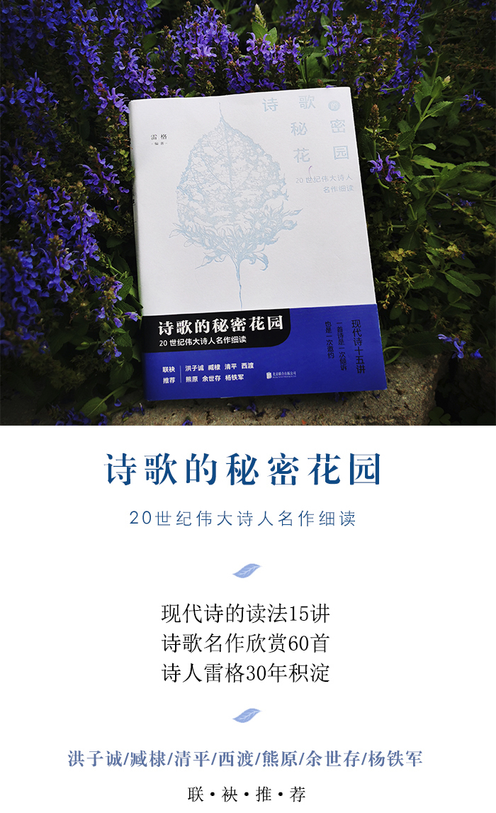 雷格:现代诗的读法