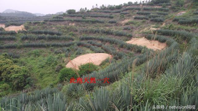 风水的常用概念窝穴钳穴乳穴突穴