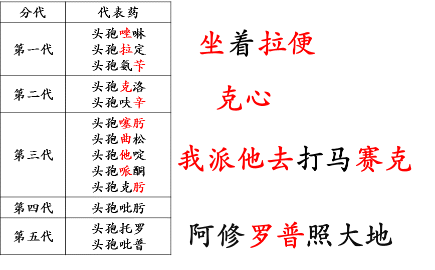 氯甲苯 ③ 廣譜類: 氨苄西林 阿莫西林 ④ 抗銅綠假單胞菌: 羧苄西林