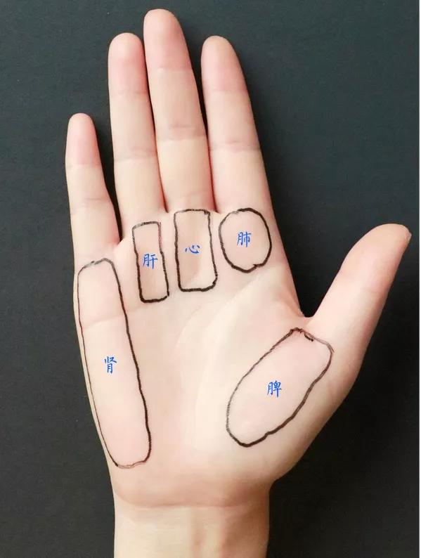 先看掌诊这张图:董氏奇穴的创始人董景昌先生在看病的时候