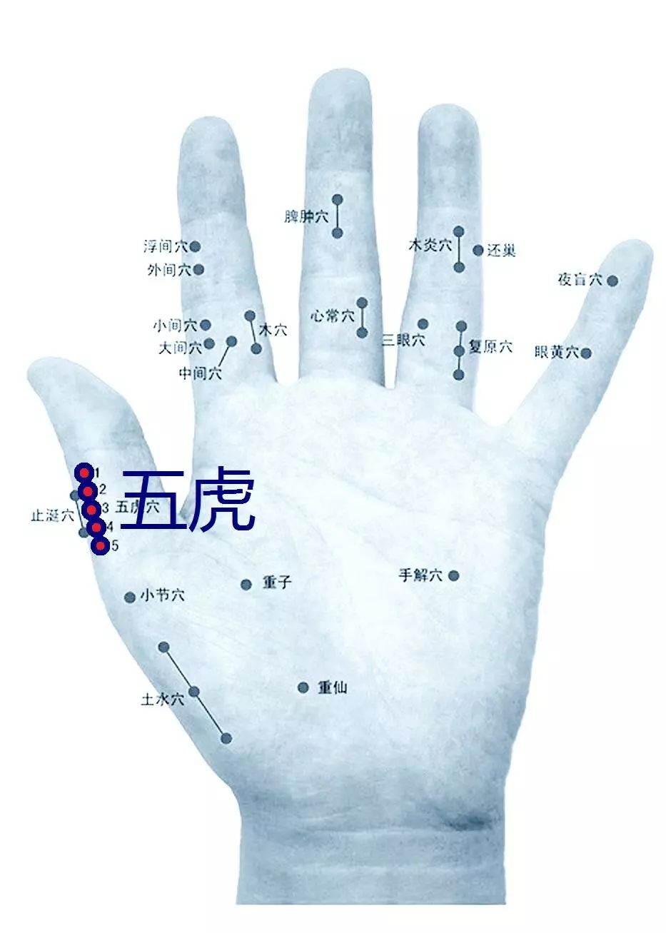 手把手教会你针灸治痛风 | 董针实操,零基础可学