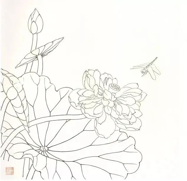 国画荷花画法,看这篇就够了!推荐收藏!