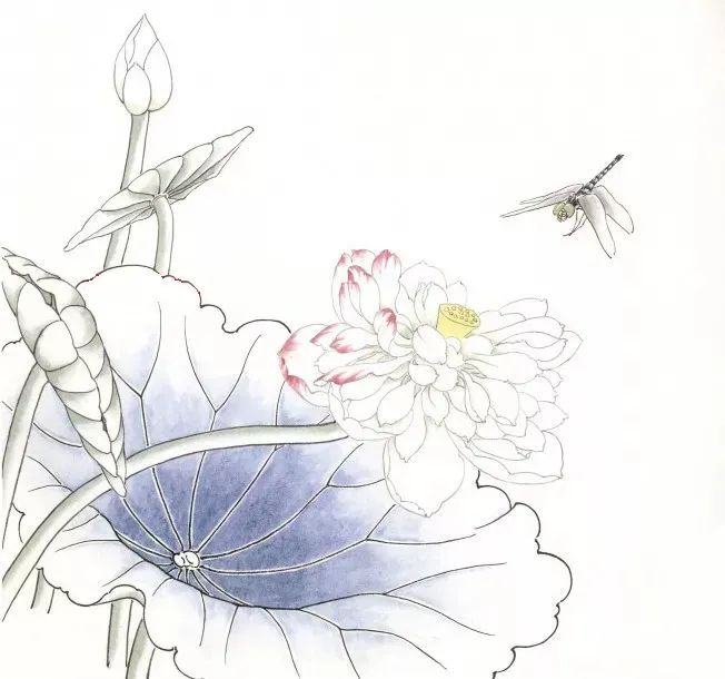 国画荷花画法,看这篇就够了!推荐收藏!