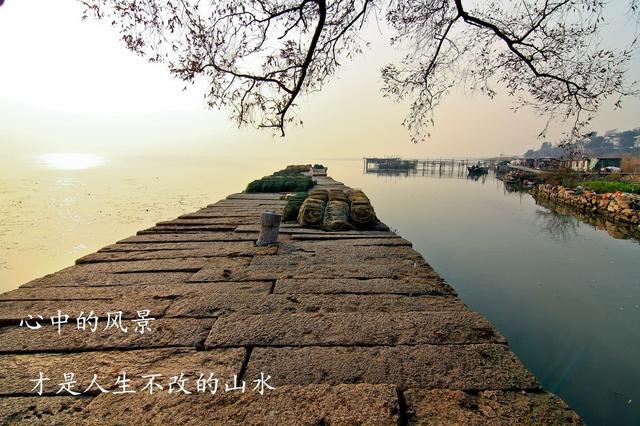 在岁月中修养自己细品岁月静好