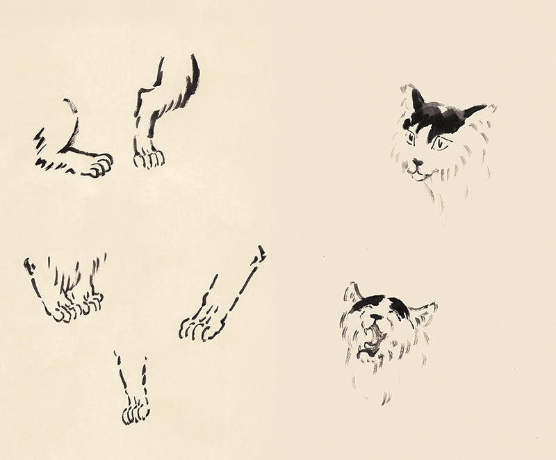 徐悲鸿国画马牛狮子猫的画法步骤