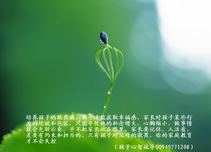 家庭教育微语顿悟