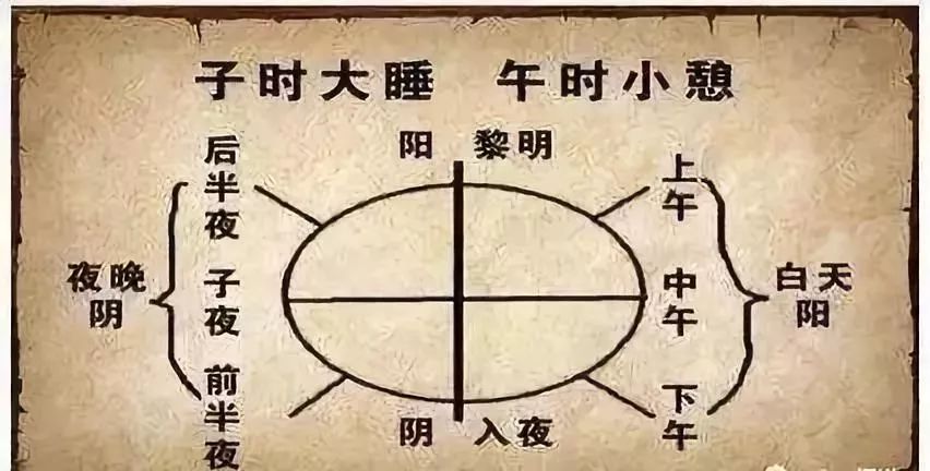 阳气产生于脾,根于肾,萌芽于肝!(补阳方法大全)