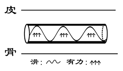 一目了然图解脉诊干货满满内附脉象示意图