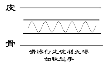 一目了然图解脉诊干货满满内附脉象示意图