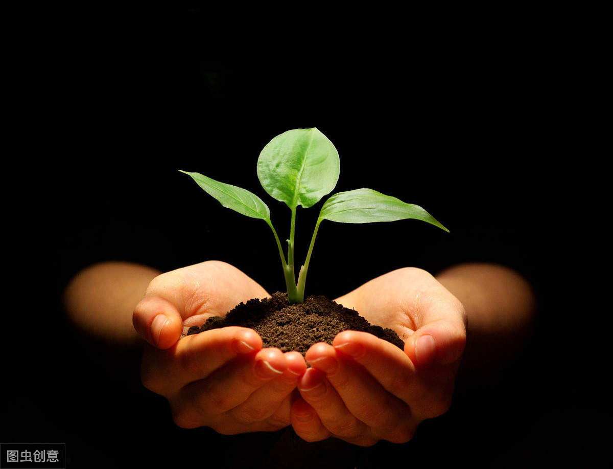 活着不谈死何以言生生命的意义也许就是向死而生