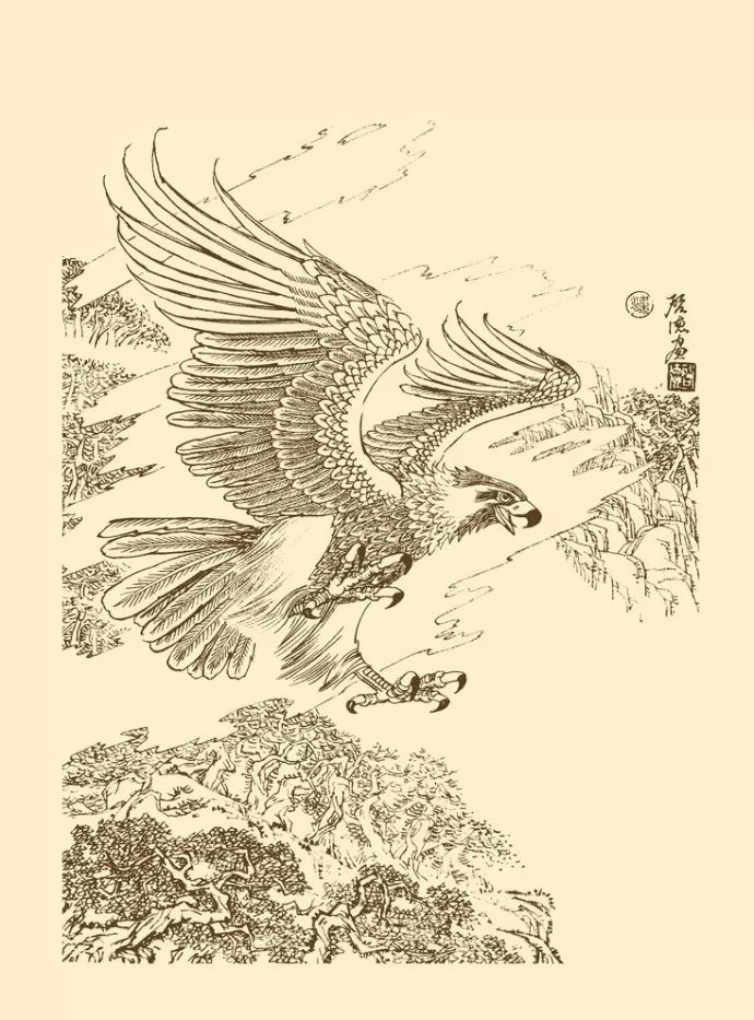 白描雄鹰霸气侧漏