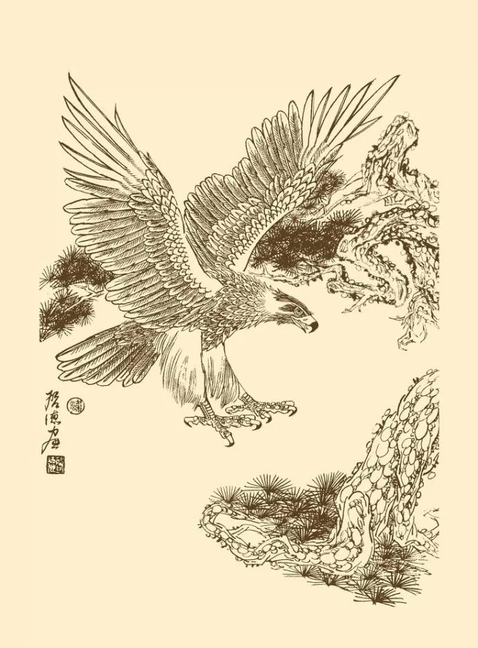 白描雄鹰霸气侧漏