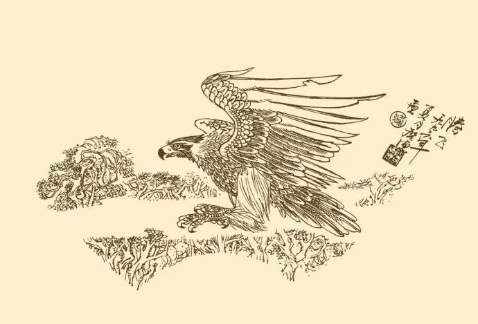 白描雄鹰霸气侧漏