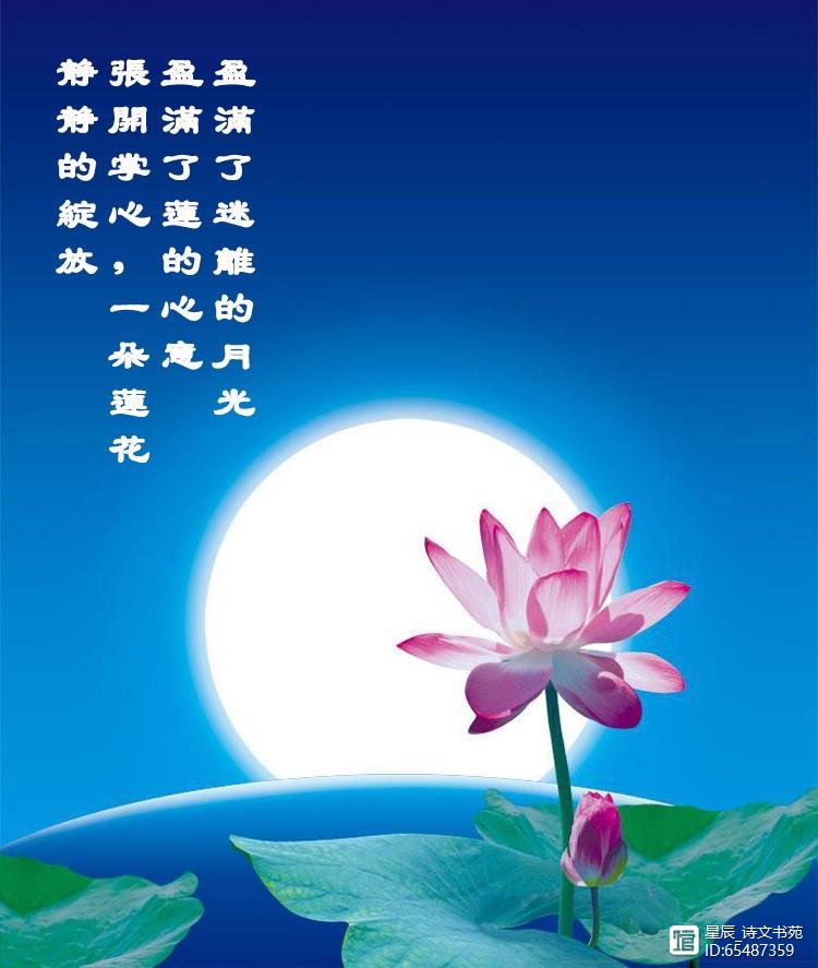 盈满了莲的心意张开掌心,一朵莲花静静绽放今生我在红尘中等你星辰