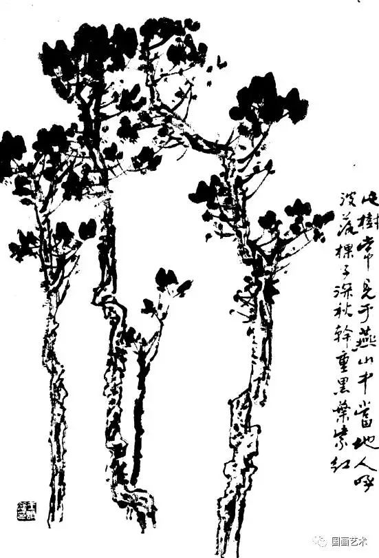 百树画谱值得收藏备用