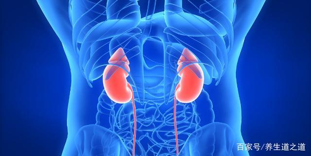肾好不好看二个地方谨记三个字常做四动作肾脏会越来越好