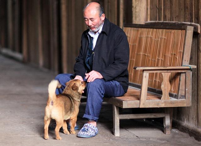 老人一般对于宠物的照顾上会有些理念偏差,所以选择一些特别难打理的