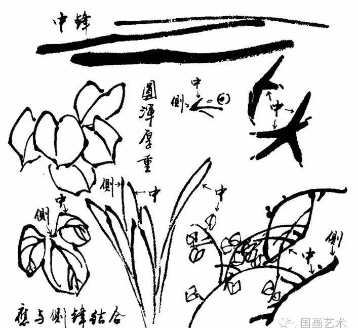 写意花鸟画笔墨技法详解!
